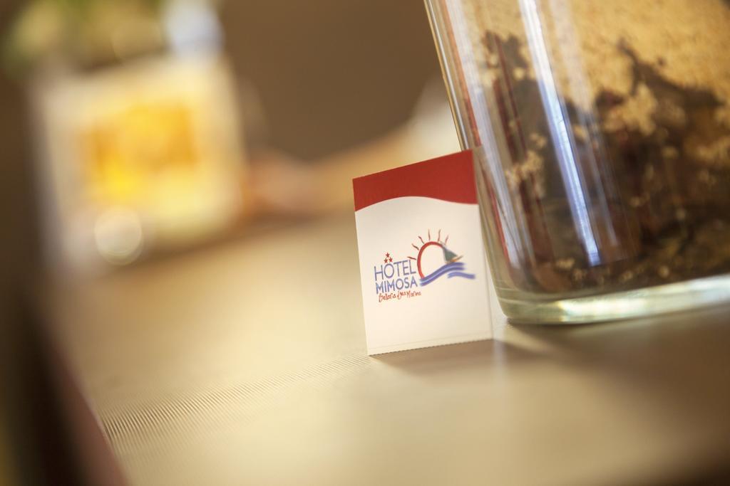 Hotel Mimosa 벨레지아아지마리나 외부 사진